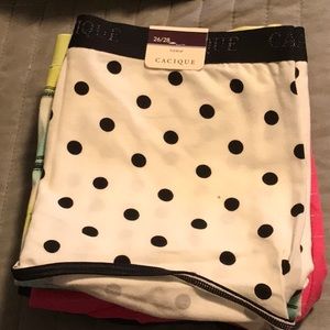 Cacique 28/26 Full Brief Lane Bryant